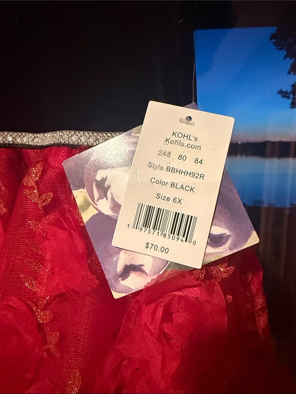 Girls Black Velvet Top Red Rose Skirt Holiday Dress 6X NWT